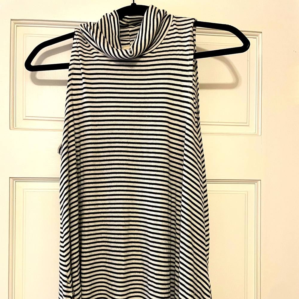 Luella Stripe Turtleneck top